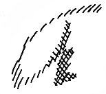 以 150 dpi 掃描的字母